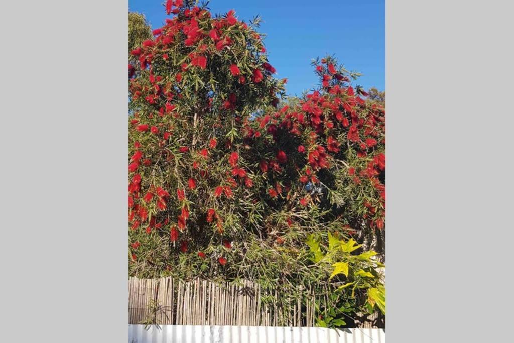 Leeward 'Tranquil Beachfront' Кінгскот Екстер'єр фото